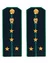 Погоны Прокуратуры темно-синие КАРТОН 13см Звание Капитан