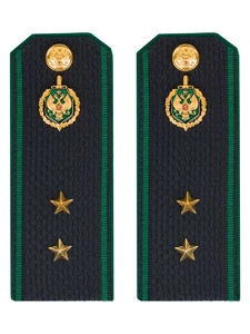 Погоны Пограничной службы ПС ФСБ в сборе картон на куртку звание Прапорщик 13см