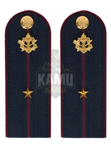 Погоны ФСИН на куртку картон в сборе звание Младший лейтенант 13см