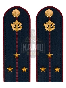 Погоны ФСИН на куртку картон в сборе звание Старший лейтенант 13см