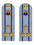 Погоны Юстиции на рубашку в сборе картон Звание Полковник 12,5 см