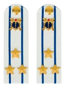 Погоны Юстиции на рубашку в сборе картон Звание Полковник 13 см цвет белый