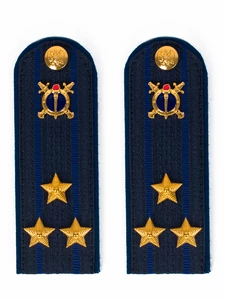 Погоны Юстиции в сборе на куртку картон 12 см звание Полковник