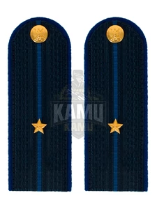 Погоны Юстиции в сборе на китель картон 12 см звание Младший лейтенант