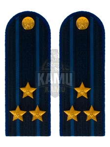 Погоны Юстиции в сборе на китель картон 12 см звание Полковник
