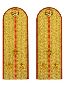 Погоны МЧС Старший Лейтенант Картон цвет золотой 13см