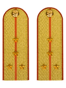 Погоны МЧС Капитан Картон цвет золотой 13см