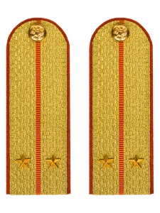 Погоны МЧС Лейтенант Картон цвет золотой 13см