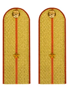 Погоны МЧС Младший Лейтенант Картон цвет золотой 13см