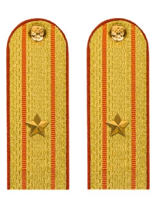 Погоны МЧС Майор Картон цвет золотой 13см