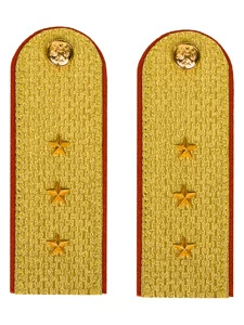 Погоны МЧС Старший Прапорщик Картон цвет золотой 13см