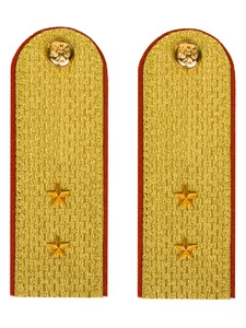 Погоны МЧС Прапорщик Картон цвет золотой 13см