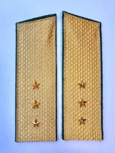 Погоны Пограничной службы в сборе картон Старший Прапорщик золотые Скос Скос 17см