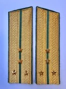 Погоны Пограничной службы в сборе картон Капитан золотые Скос 17см