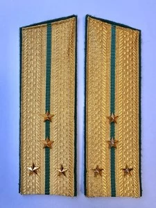 Погоны Пограничной службы в сборе картон Капитан золотые Скос 17см