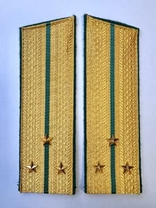 Погоны ПС ФСБ в сборе картон Старший Лейтенант золотые Скос 17см