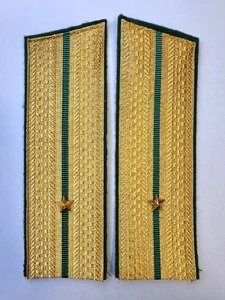 Погоны Пограничной службы ПС ФСБ в сборе картон Младший Лейтенант золотые Скос 17см