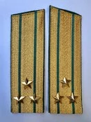 Погоны Пограничной службы ПС ФСБ службы в сборе картон Полковник золотые Скос 17см