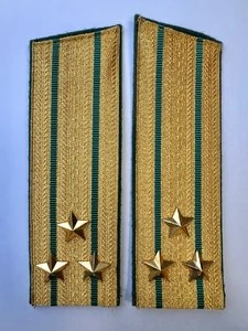 Погоны Пограничной службы ПС ФСБ службы в сборе картон Полковник золотые Скос 17см