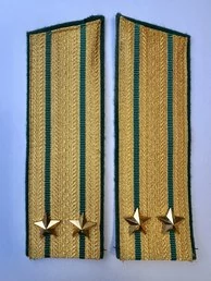 Погоны Пограничной службы в сборе картон Подполковник золотые Скос 17см
