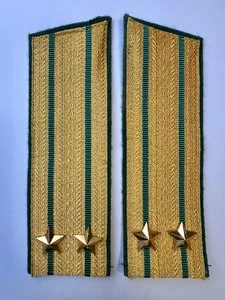 Погоны Пограничной службы в сборе картон Подполковник золотые Скос 17см