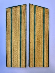 Погоны ПС ФСБ парадные золотые два просвета Кляммеры в комплекте Картон Скос 17см