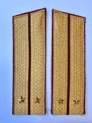 Погоны Росгвардии ФСВНГ парадные золотые 17 см Скос звание Лейтенант