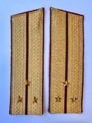 Погоны Росгвардии ФСВНГ парадные золотые 17 см Скос звание Старший Лейтенант