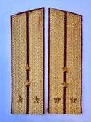 Погоны Росгвардии ФСВНГ парадные золотые 17см Скос звание Капитан