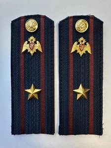 Погоны Росгвардии ФСВНГ на куртку 14см Картон звание Майор цвет темно-синий