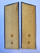 Погоны парадные ФСБ золотые картон звание Прапорщик 17см Скос