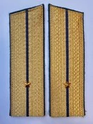 Погоны парадные ФСБ золотые картон звание Младший Лейтенант 17см Скос