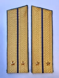 Погоны парадные ФСБ золотые картон звание Лейтенант 17см Скос