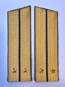 Погоны парадные ФСБ золотые картон звание Лейтенант 17см Скос
