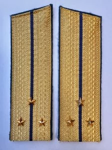 Погоны парадные ФСБ золотые картон звание Старший Лейтенант 17см Скос