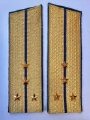 Погоны парадные ФСБ золотые картон звание Капитан 17см Скос