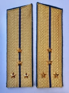 Погоны парадные ФСБ золотые картон звание Капитан 17см Скос