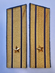 Погоны парадные ФСБ золотые картон звание Майор 17см Скос