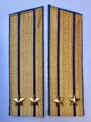 Погоны парадные ФСБ золотые картон звание Подполковник 17см Скос