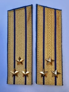 Погоны парадные ФСБ золотые картон звание Полковник 17см Скос