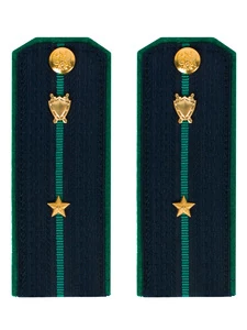 Погоны Прокуратуры темно-синие ПЛАСТИК 14 см Звание Младший лейтенант