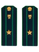 Погоны Прокуратуры темно-синие ПЛАСТИК Звание Майор 14см