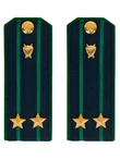 Погоны Прокуратуры темно-синие ПЛАСТИК Звание Подполковник 14см