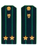 Погоны Прокуратуры темно-синие ПЛАСТИК Звание Подполковник 14см