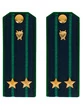 Погоны Прокуратуры темно-синие ПЛАСТИК Звание Подполковник 14см