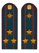 Погоны МЧС на куртку 14х5см картон (в сборе) укомплектованные с фурнитурой звание Полковник