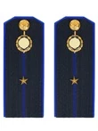 Погоны ФСБ на куртку цвет синий пластик, звание Младший лейтенант 14х5,5см