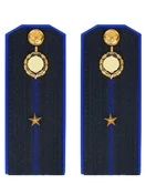 Погоны ФСБ на куртку цвет синий пластик, звание Младший лейтенант 14х5,5см