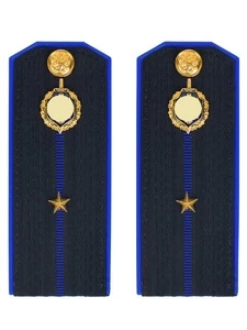 Погоны ФСБ на куртку цвет синий пластик, звание Младший лейтенант 14х5,5см