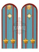 Погоны МЧС голубые на рубашку ПЛАСТИК Звание Подполковник